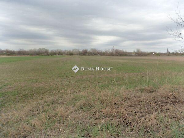 Csokonai, Pilis 3. képe