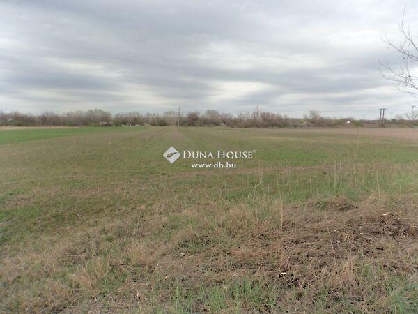 Kossuth Lajos, Pilis 2. képe