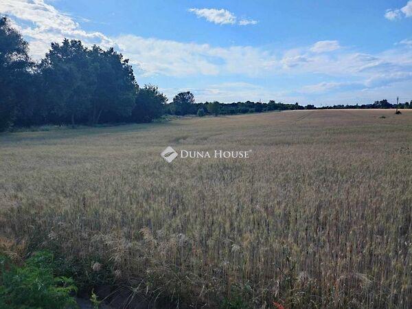 Forrásmajori, Budapest, XVI. kerület 2. képe