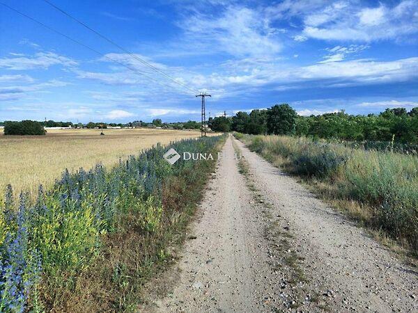 Forrásmajori, Budapest, XVI. kerület 3. képe