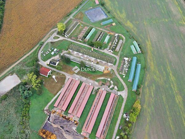 Mártírok, Ozora 2. képe