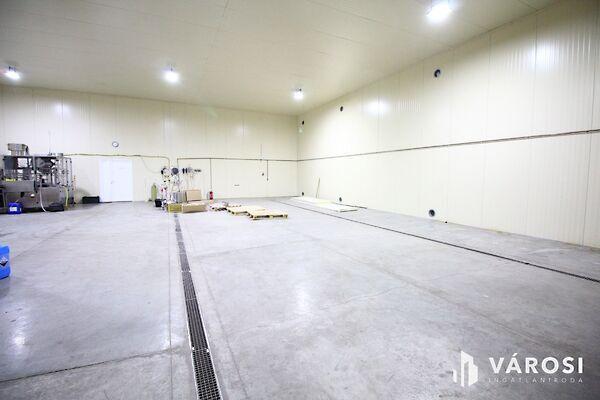 Hódmezővásárhely 2. képe