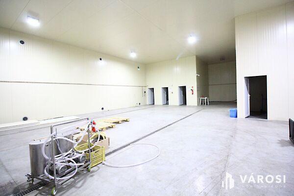 Hódmezővásárhely 3. képe