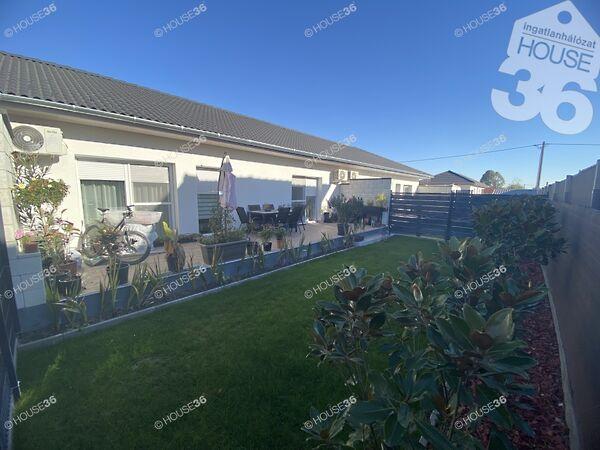 Cinege, Kecskemét képe