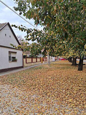 Kossuth, Siklós 3. képe