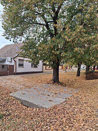 Kossuth, Siklós 2. képe