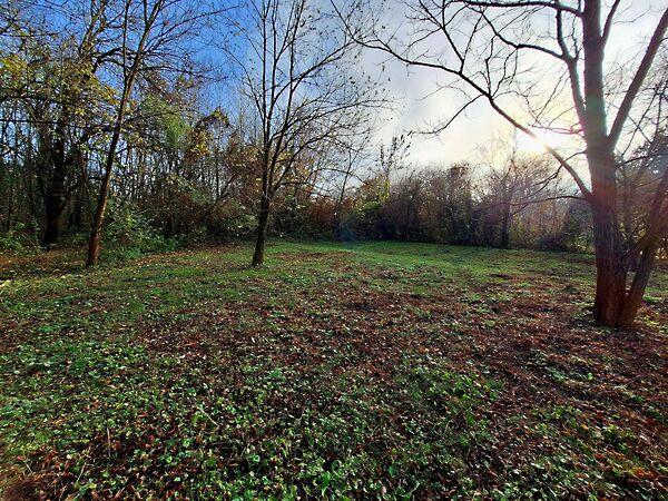 Veszprémgalsa 2. képe