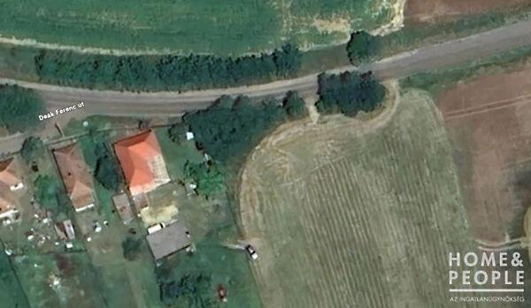 Cserháthaláp 2. képe