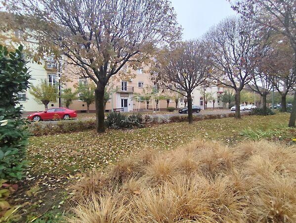 Kiskunfélegyháza képe