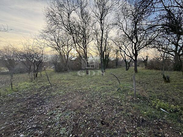 Székesfehérvár 3. képe