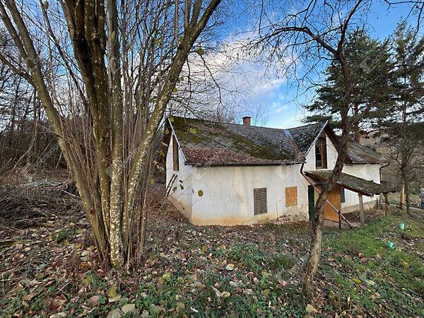 Ady Endre, Nemesrádó 2. képe