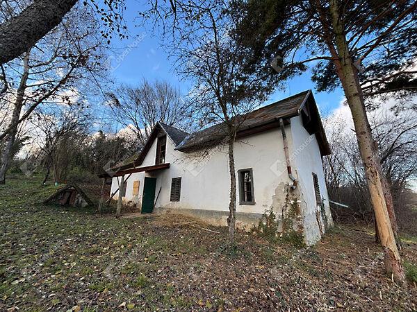 Ady Endre, Nemesrádó 3. képe