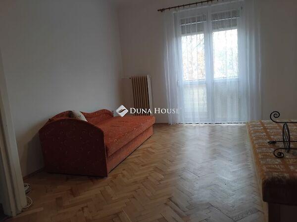 Kőrösi Csoma Sándor, Pécs képe