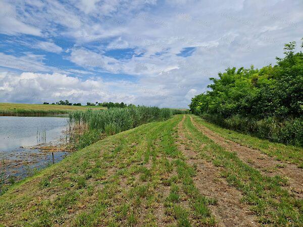 Lajoskomárom 2. képe