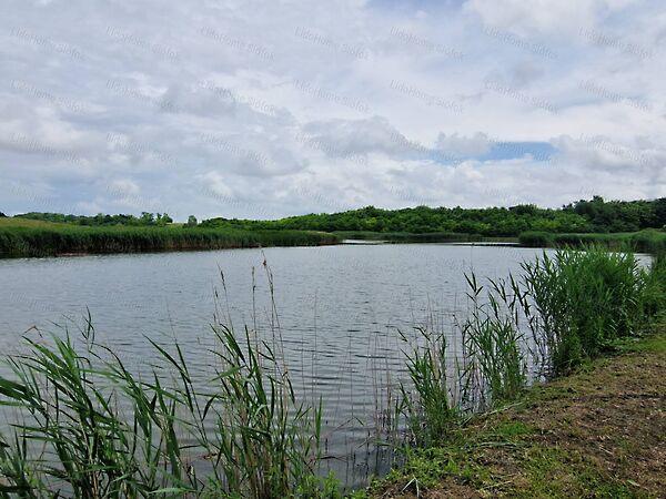 Lajoskomárom 3. képe