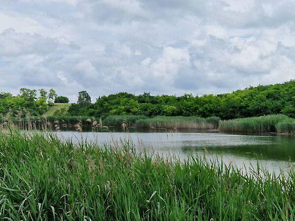 Lajoskomárom 2. képe