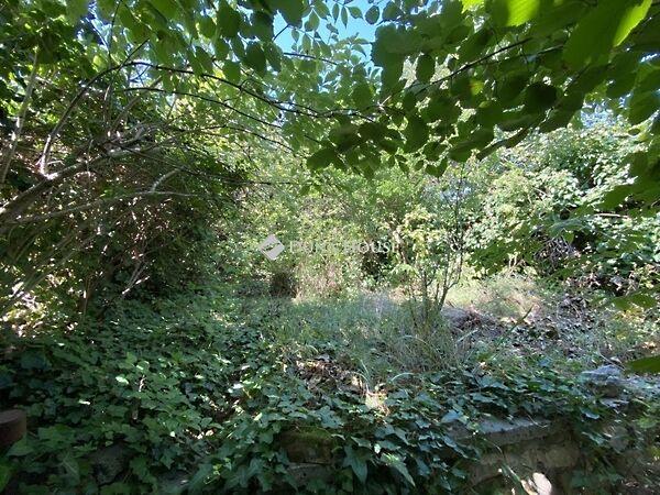 Szabó Dezső, Szekszárd 2. képe