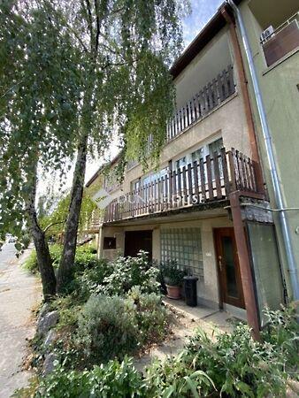 Szabó Dezső, Szekszárd képe