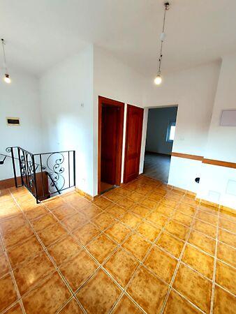 Nefelejcs, Tokodaltáró 3. képe