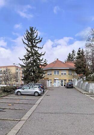 Kisszkókó, Pécs 3. képe