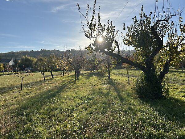 Győrújbarát 2. képe