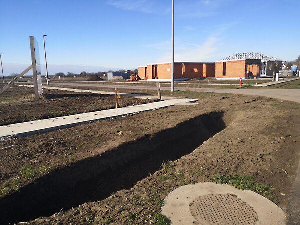 Bartók Béla, Deszk 2. képe