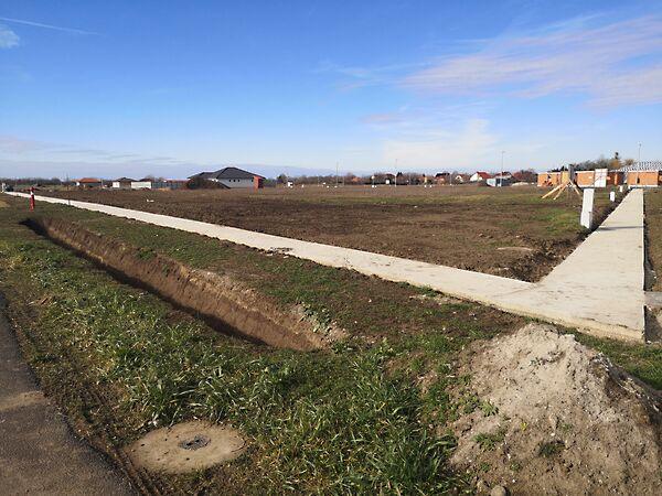 Bartók Béla, Deszk képe