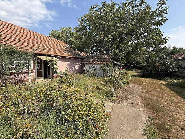 Püspökladány képe