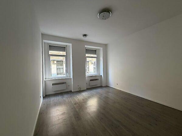 Nefelejcs, Budapest, VII. kerület 2. képe