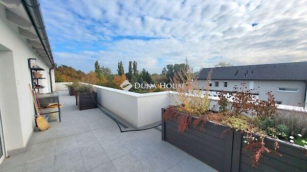 Barackvirág, Szentendre képe