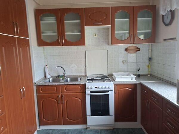 Szőlő, Gödöllő 2. képe