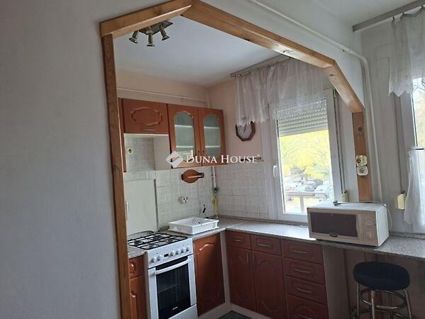 Szőlő, Gödöllő 3. képe