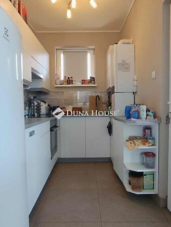 Rákóczi Ferenc, Pusztavám 3. képe