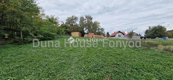 Sólyom, Fonyód 2. képe