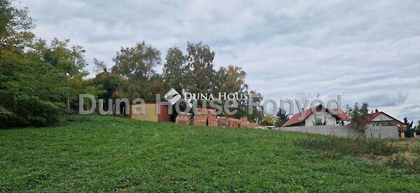 Sólyom, Fonyód 3. képe