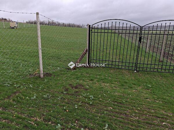 Jókai, Szomor képe