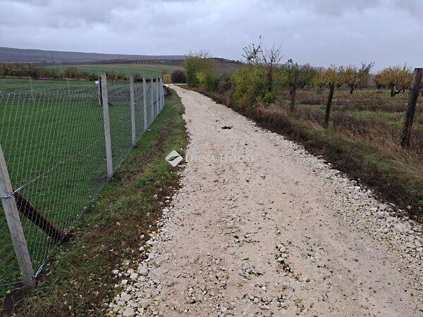 Jókai, Szomor 2. képe