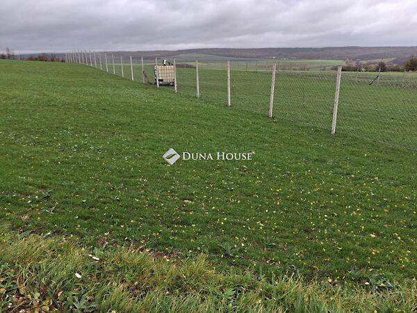 Jókai, Szomor 3. képe