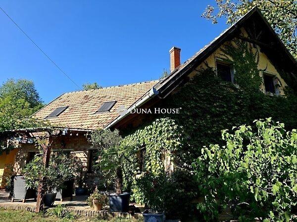 Móricz Zsigmond, Pogány képe