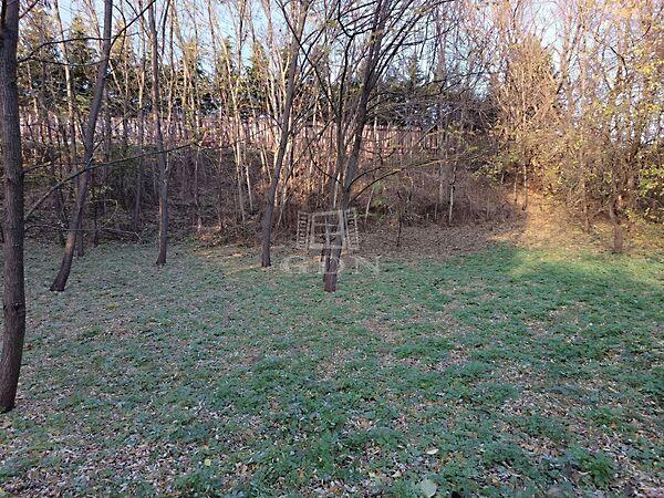 Lévai, Veresegyház képe