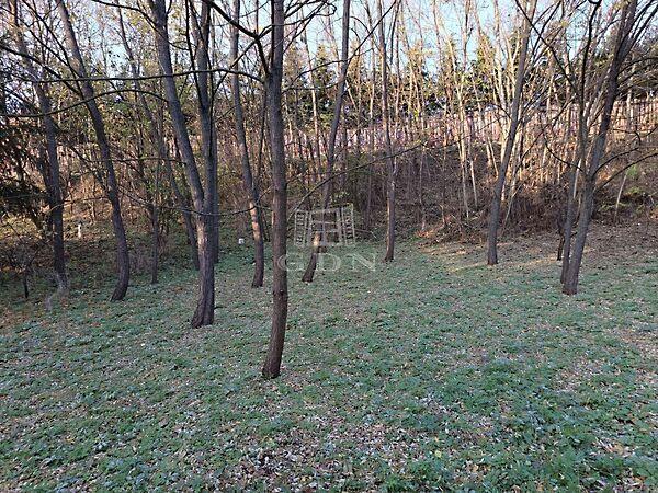 Lévai, Veresegyház 2. képe