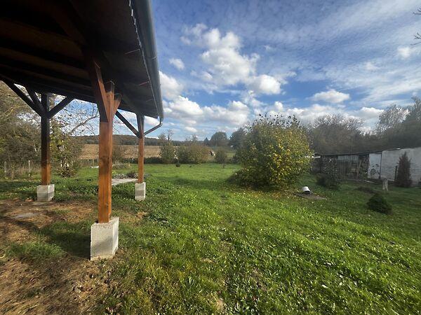 Zrínyi Miklós, Borsfa 2. képe