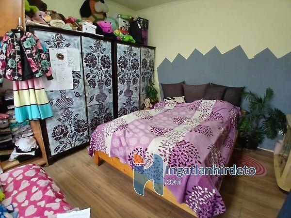 Hársfa, Ecséd 3. képe