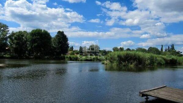 Fenyves, Veresegyház 3. képe