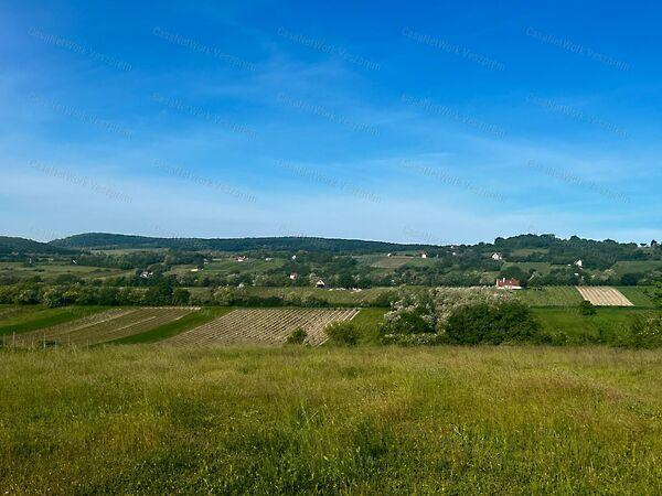 Szentjakabfa 3. képe