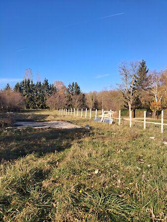 Rozmaring, Bodonhely képe