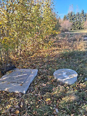 Rozmaring, Bodonhely 2. képe