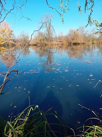 Vakota, Mezőtúr képe