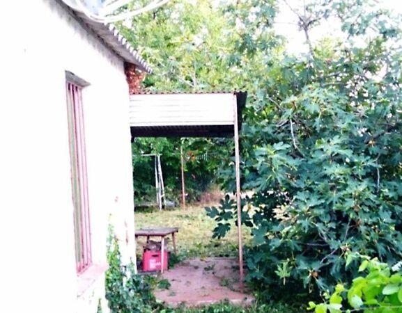 Délegyháza 2. képe