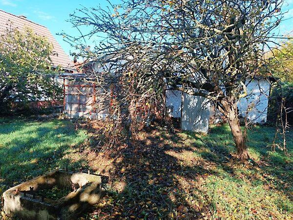 Délegyháza 3. képe